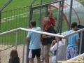 equipe-b-coupe-2010-le-06-06-009